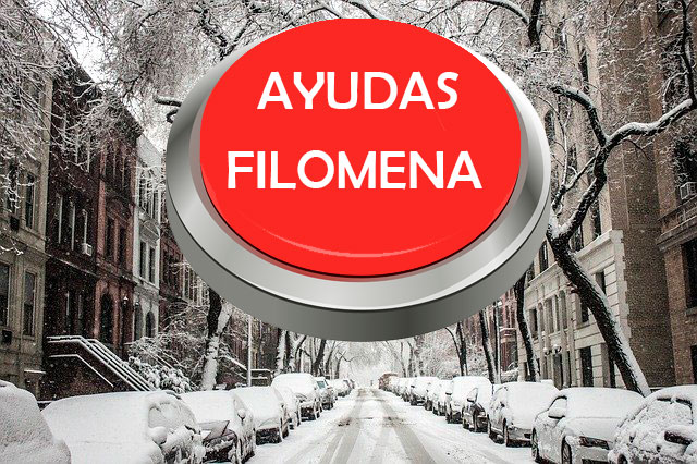 AYUDAS POR EL TEMPORAL DE NIEVE “FILOMENA”
